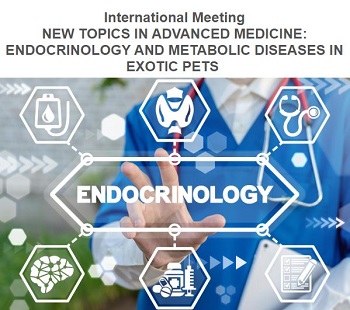 International Meeting NEW TOPICS IN ADVANCED MEDICINE: ENDOCRINOLOGY AND METABOLIC DISEASES IN EXOTIC PETS