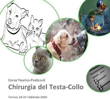 Corso teorico-pratico di Chirurgia del Testa-Collo 14-15 febbraio 2020 TORINO