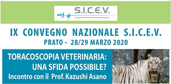 IX Convegno Internazionale S.I.C.E.V., Toracoscopia veterinaria: una sfida possibile?