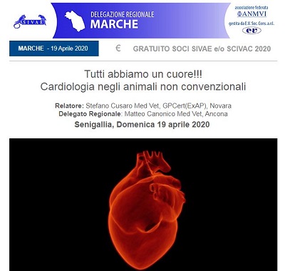 Seminario Regionale SIVAE – Marche: Tutti abbiamo un cuore!!! Cardiologia negli animali non convenzionali