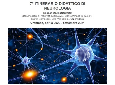 Corso Scivac: ITINERARIO DIDATTICO DI NEUROLOGIA