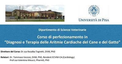 Corso di perfezionamento in “Diagnosi e Terapia delle Aritmie Cardiache del Cane e del Gatto”