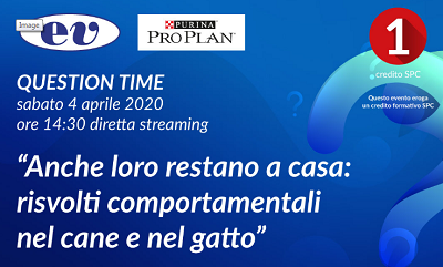 Question time: “Anche loro restano a casa: risvolti comportamentali nel cane e nel gatto”