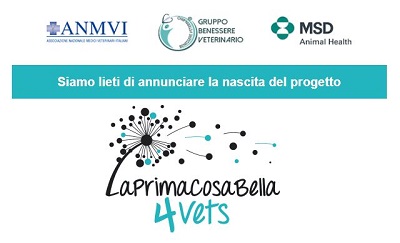 Progetto: LaPrimaCosaBella4Vets