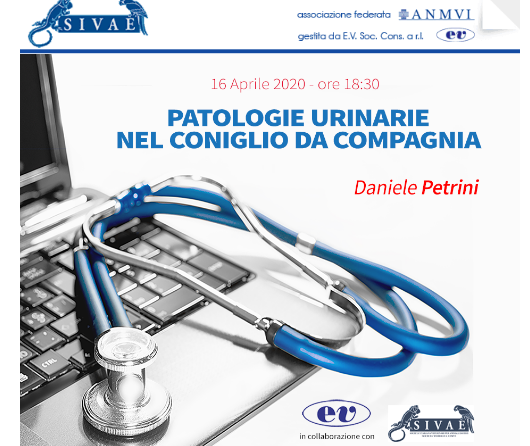 PRIMO WEBINAR SIVAE Giovedì 16 aprile 2020 – ore 18.30: PATOLOGIE URINARIE NEL CONIGLIO DA COMPAGNIA