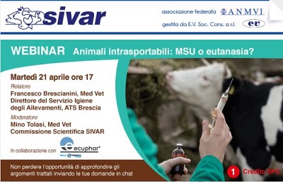 Webinar SIVAR 21 aprile alle 17.00: “Animali intrasportabili: MSU o eutanasia?”