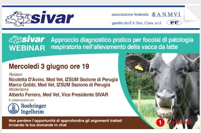 Webinar – 3 giugno h. 19 “Approccio diagnostico pratico per focolai di patologia respiratoria nell’allevamento della vacca da latte”