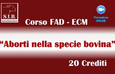 Corso FAD dells SIB “ABORTI NELLA SPECIE BOVINA”