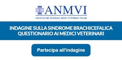 Indagine sulla sindrome brachicefalica dell’ANMVI