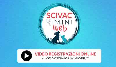 Le video registrazioni di SCIVACRimini Web sono online!