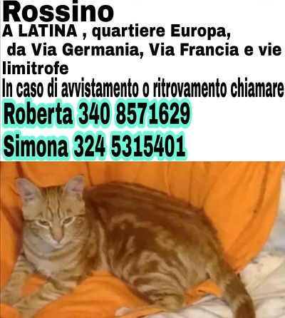 Smarrito Rossino