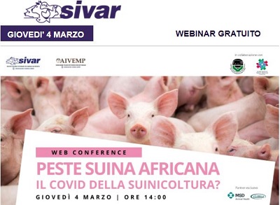 Webinar – giovedì 4 marzo h.14 – “Peste suina africana (PSA): il COVID della suinicoltura?”