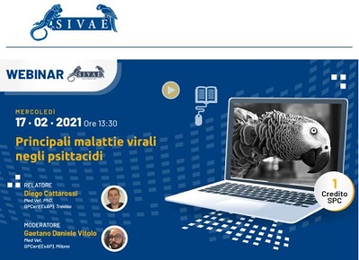 Webinar SIVAE: Principali malattie virali negli psittacidi