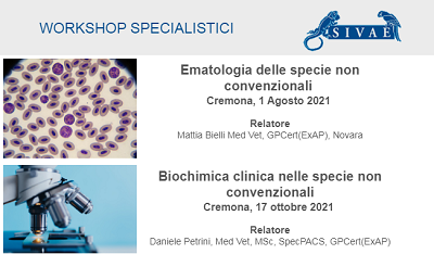 Workshop Specialistici – SIVAE 2021