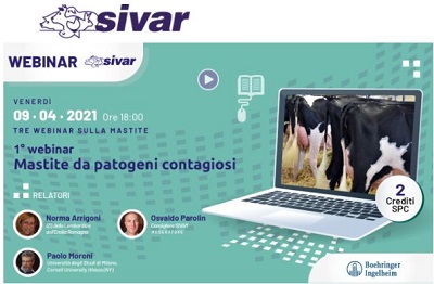 Webinar trittico mastiti – 9 aprile: 1° incontro “Mastite da patogeni contagiosi””