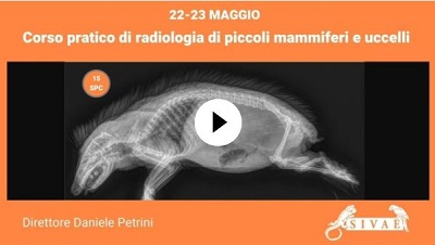 Corso pratico Radiologia di piccoli mammiferi e uccelli