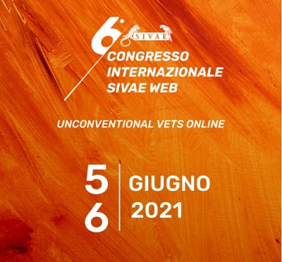 6° Congresso Internazionale SIVAE WEB