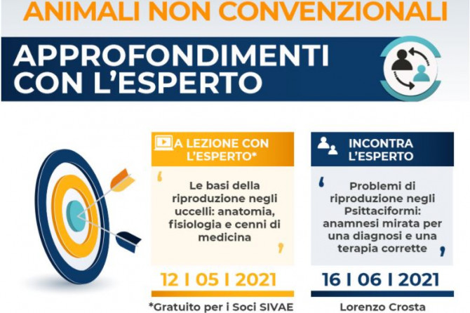 Approfondimenti con l’esperto: Medicina Aviare con Lorenzo Crosta