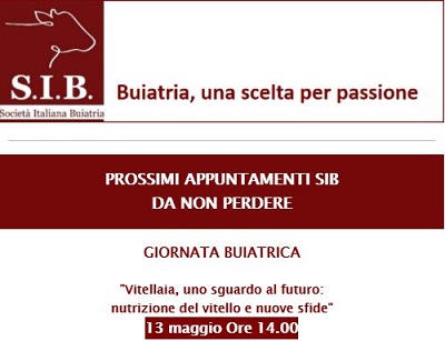 Vitellaia, uno sguardo al futuro: nutrizione del vitello e nuove sfide