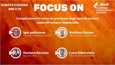 Presentazione Focus On Anestesia – di Igor Pelizzone