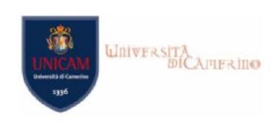 PROROGA Bando per 1 borsa di studio per collaborazione alle attività assistenziali svolte dall’Ospedale Veterinario Universitario Didattico (OVUD) – UNICAM