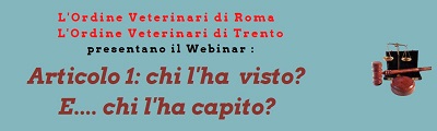 Articolo 1: chi l’ha visto? E…. chi l’ha capito?