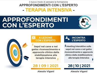 Approfondimenti con l’esperto: Terapia intensiva