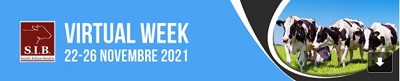 SIB Virtual Week: 22-26 novembre 2021