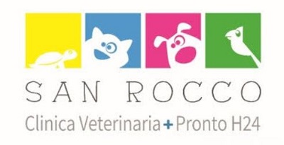 Internship rotazionale: Clinica Veterinaria San Rocco
