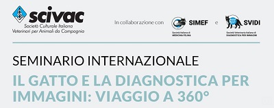 Seminario online – Il gatto e la diagnostica per immagini