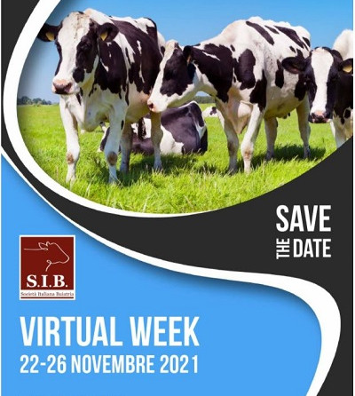 SIB Virtual Week: 22-26 novembre 2021