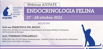 ENDOCRINOLOGIA FELINA 27-28 ottobre 2021 – WEBINAR AIVPAFE