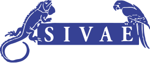 VI Congresso Internazionale SIVAE