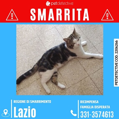 SMARRITA LELLA | Notifica di Smarrimento