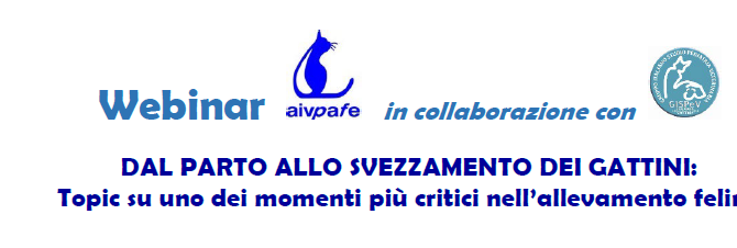 WEBINAR AIVPAFE: Dal PARTO allo SVEZZAMENTO del Gattino. 12-13 luglio 2022