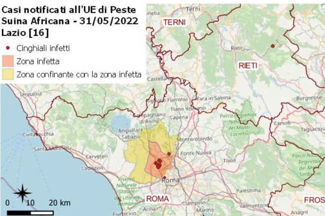 Peste Suina Africana nel selvatico in Regione Lazio – aggiornamenti epidemiologici.