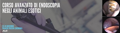 Corso avanzato di endoscopia negli animali esotici