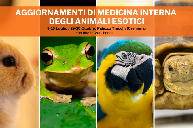 Evento SIVAE: Aggiornamenti di medicina degli animali esotici 29 – 30 Ottobre 2022