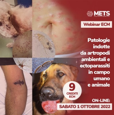 WEBINAR UNIVERSITA’ DI PERUGIA: “UOMO E ANIMALI” – 1° OTTOBRE 2022