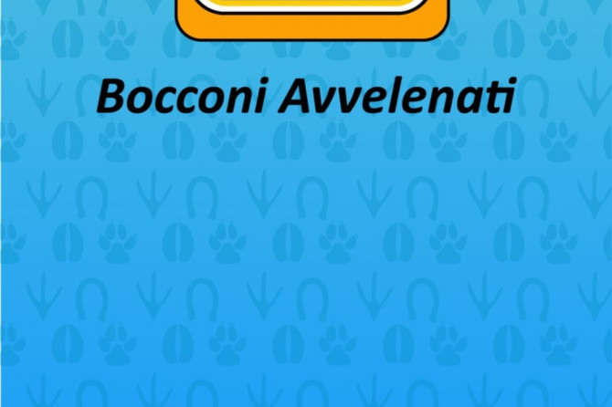 APP “Bocconi avvelenati”