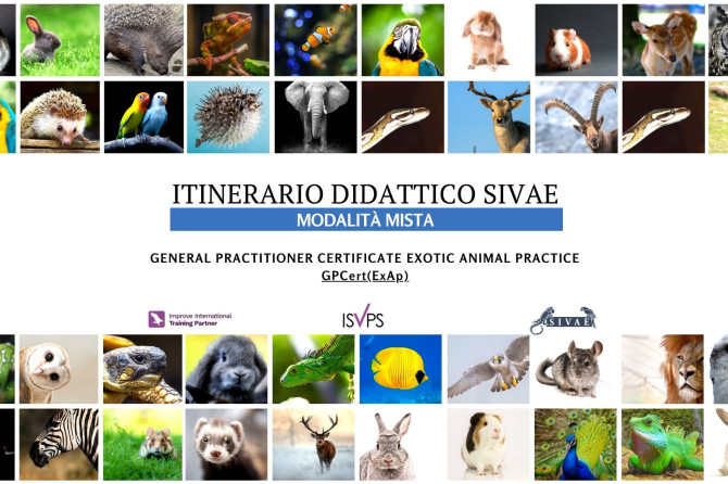 Itinerario SIVAE, in forma mista: “Medicina e Chirurgia degli Animali Esotici GPCert (ExAP)”