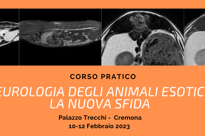 Corso Pratico SIVAE: “Neurologia degli animali esotici: la nuova sfida”.