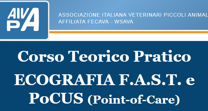 CORSO AIVPA: “Corso Teorico Pratico ECOGRAFIA F.A.S.T. e PoCUS (Point-of-Care)”