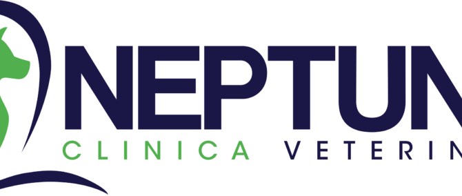 Clinica Veterinaria Neptunia seleziona Medico Veterinario