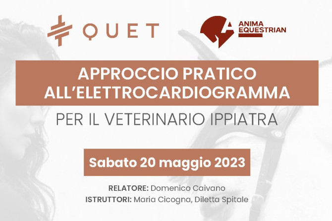 Corso QUET cardiologia Ippiatrica: “APPROCCIO PRATICO ALL’ELETTROCARDIOGRAMMA PER IL VETERINARIO IPPIATRA”