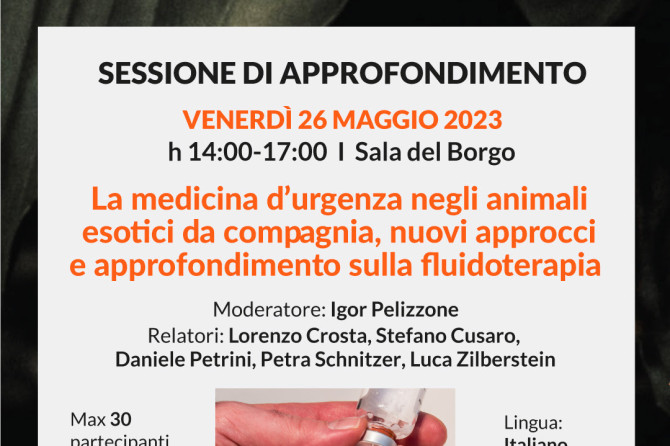 Sessione di Approfondimento – VII Congresso Internazionale SIVAE