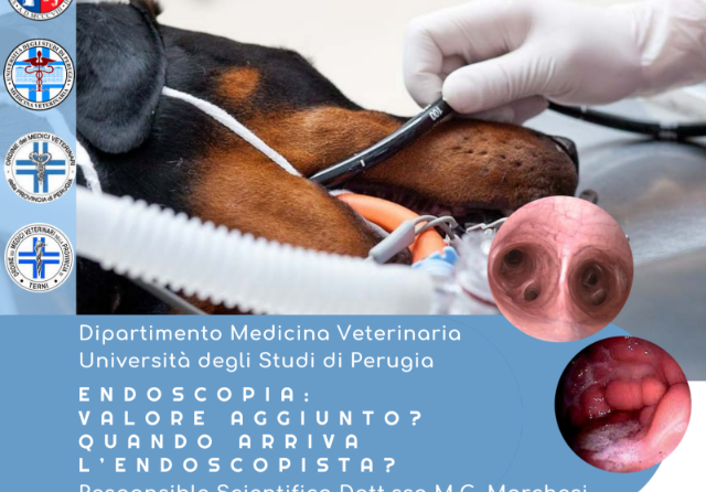 Evento formativo – UNIPG: “Endoscopia: Valore aggiunto? Quando arriva l’endoscopista?”