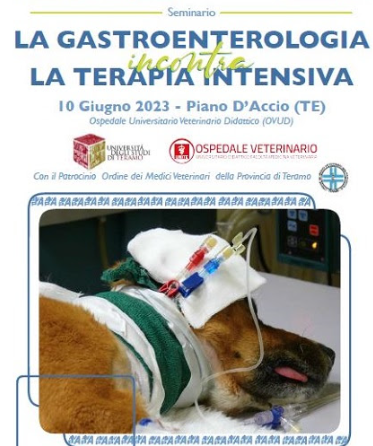 AIVPA – Evento formativo: “La Gastroenterologia incontra la Terapia intensiva”