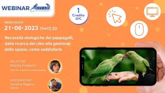 Webinar SIVAE – I mercoledì esotici: “Necessità etologiche dei pappagalli, dalla ricerca del cibo alla gestione dello spazio, come soddisfarle”