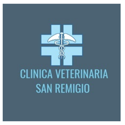Clinica Veterinaria “San Remigio” – Formia: RICERCA COLLABORATORI